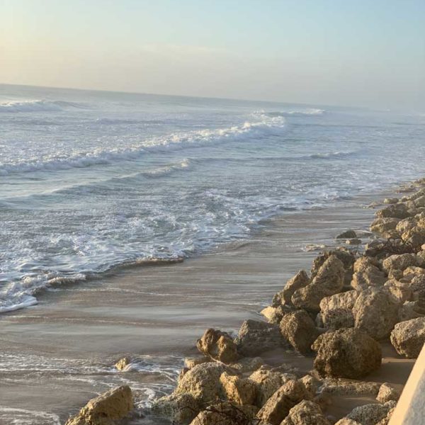 PALM BEACH – OCEAN CONDO – COMING SOON